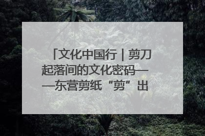 文化中国行｜剪刀起落间的文化密码——东营剪纸“剪”出非遗传承与现代生活的融合之道