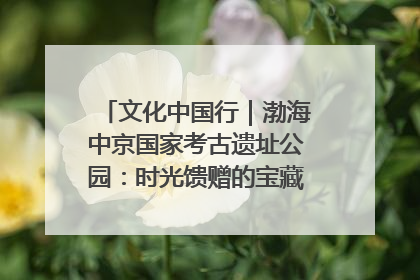 文化中国行｜渤海中京国家考古遗址公园：时光馈赠的宝藏 历史凝固的诗篇