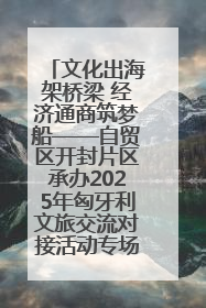 文化出海架桥梁 经济通商筑梦船——自贸区开封片区承办2025年匈牙利文旅交流对接活动专场