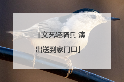 文艺轻骑兵 演出送到家门口