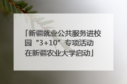 新疆就业公共服务进校园“3+10”专项活动在新疆农业大学启动