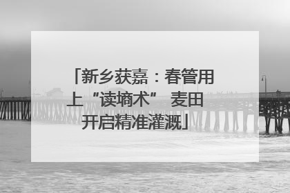 新乡获嘉：春管用上“读墒术” 麦田开启精准灌溉