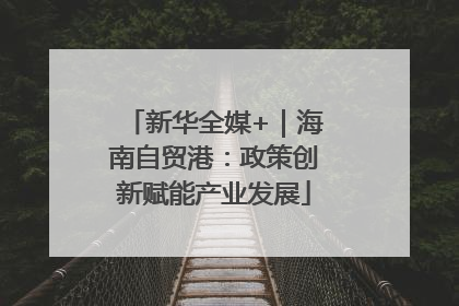 新华全媒+｜海南自贸港：政策创新赋能产业发展