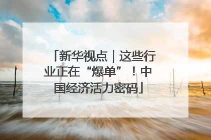 新华视点｜这些行业正在“爆单”！中国经济活力密码