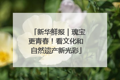 新华鲜报｜瑰宝更青春！看文化和自然遗产新光彩