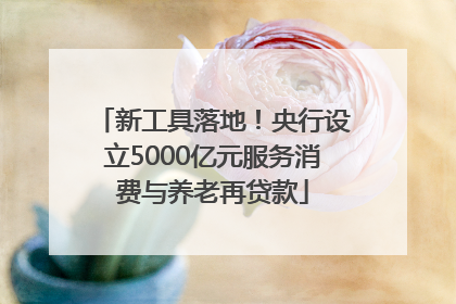 新工具落地！央行设立5000亿元服务消费与养老再贷款