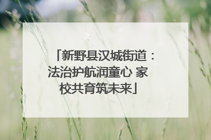 新野县汉城街道：法治护航润童心 家校共育筑未来