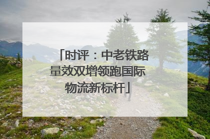 时评：中老铁路量效双增领跑国际物流新标杆