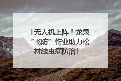 无人机上阵！龙泉“飞防”作业助力松材线虫病防治