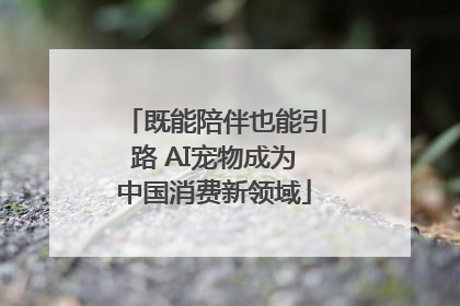 既能陪伴也能引路 AI宠物成为中国消费新领域