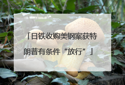 日铁收购美钢案获特朗普有条件“放行”