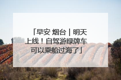 早安 烟台｜明天上线！自驾游绿牌车可以乘船过海了