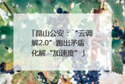 昆山公安：“云调解2.0”跑出矛盾化解“加速度”