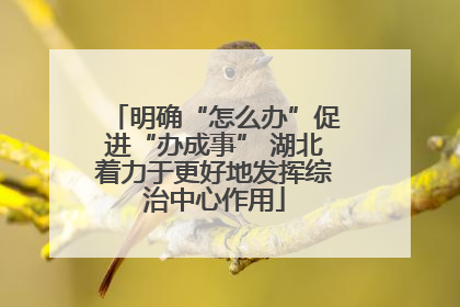明确“怎么办”促进“办成事” 湖北着力于更好地发挥综治中心作用