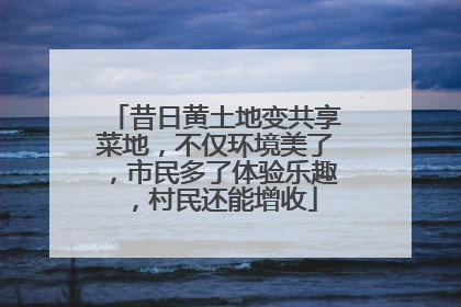 昔日黄土地变共享菜地，不仅环境美了，市民多了体验乐趣，村民还能增收