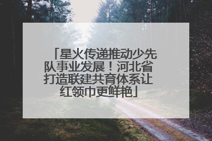 星火传递推动少先队事业发展！河北省打造联建共育体系让红领巾更鲜艳