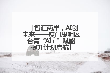 智汇两岸，AI创未来——厦门思明区台青“AI+”赋能提升计划启航