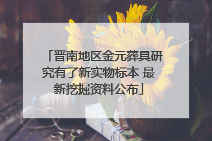 晋南地区金元葬具研究有了新实物标本 最新挖掘资料公布