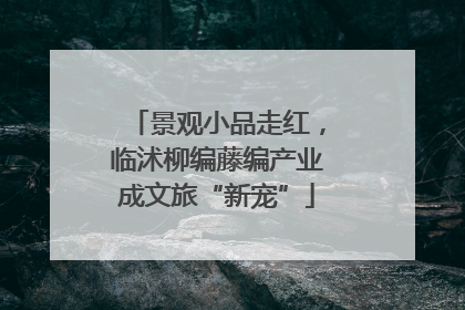 景观小品走红，临沭柳编藤编产业成文旅“新宠”
