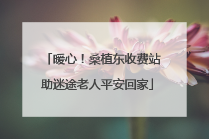 暖心！桑植东收费站助迷途老人平安回家