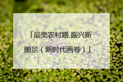 最美农村路 振兴新图景（新时代画卷）