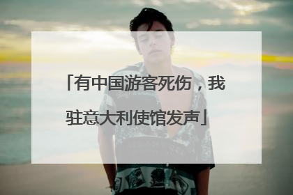有中国游客死伤，我驻意大利使馆发声