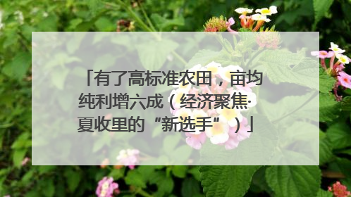 有了高标准农田，亩均纯利增六成（经济聚焦·夏收里的“新选手”）
