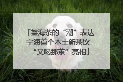 望海茶的“潮”表达 宁海首个本土新茶饮“又喝那茶”亮相