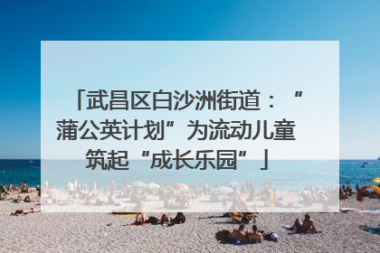 武昌区白沙洲街道：“蒲公英计划”为流动儿童筑起“成长乐园”