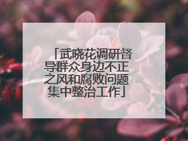 武晓花调研督导群众身边不正之风和腐败问题集中整治工作