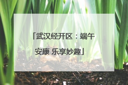 武汉经开区：端午安康 乐享妙趣