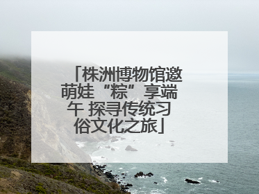 株洲博物馆邀萌娃“粽”享端午 探寻传统习俗文化之旅