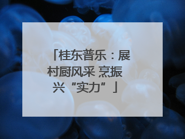 桂东普乐：展村厨风采 烹振兴“实力”