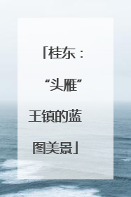 桂东：“头雁”王镇的蓝图美景