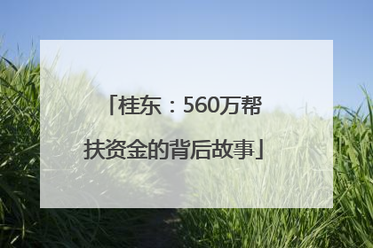 桂东：560万帮扶资金的背后故事