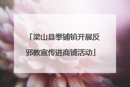 梁山县拳铺镇开展反邪教宣传进商铺活动