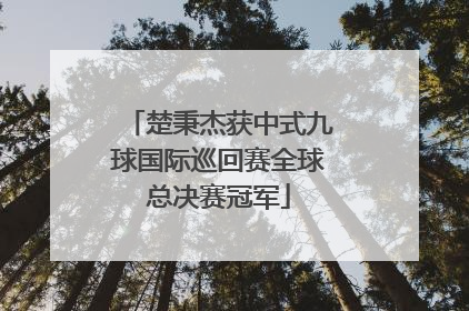 楚秉杰获中式九球国际巡回赛全球总决赛冠军