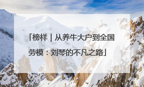 榜样｜从养牛大户到全国劳模：刘琴的不凡之路