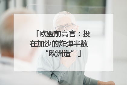 欧盟前高官：投在加沙的炸弹半数“欧洲造”