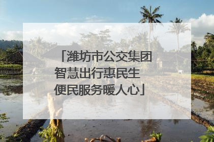 潍坊市公交集团智慧出行惠民生 便民服务暖人心