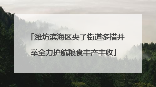 潍坊滨海区央子街道多措并举全力护航粮食丰产丰收