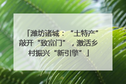 潍坊诸城：“土特产”敲开“致富门”，激活乡村振兴“新引擎”