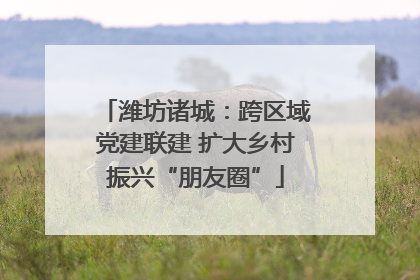 潍坊诸城：跨区域党建联建 扩大乡村振兴“朋友圈”