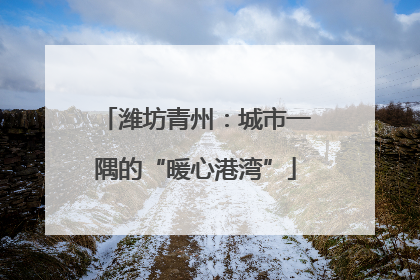 潍坊青州：城市一隅的“暖心港湾”
