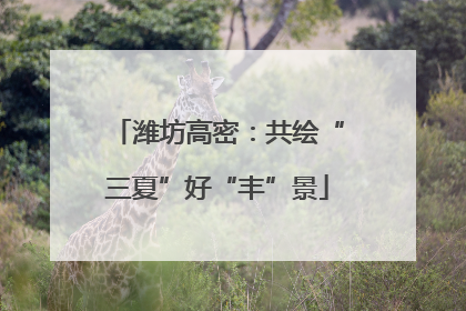 潍坊高密：共绘“三夏”好“丰”景