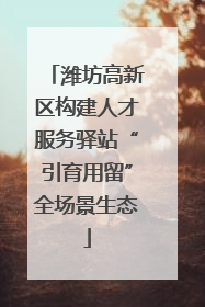 潍坊高新区构建人才服务驿站“引育用留”全场景生态