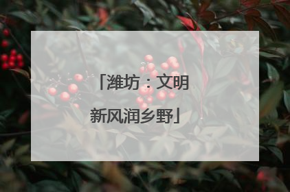 潍坊：文明新风润乡野