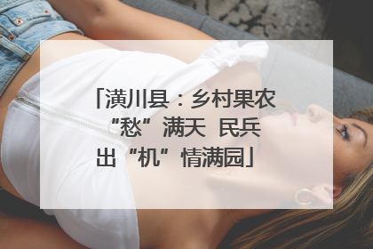 潢川县：乡村果农“愁”满天  民兵出“机”情满园