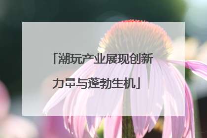 潮玩产业展现创新力量与蓬勃生机