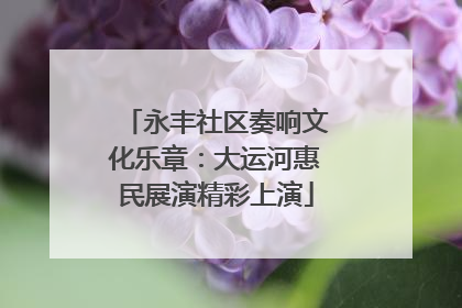 永丰社区奏响文化乐章：大运河惠民展演精彩上演